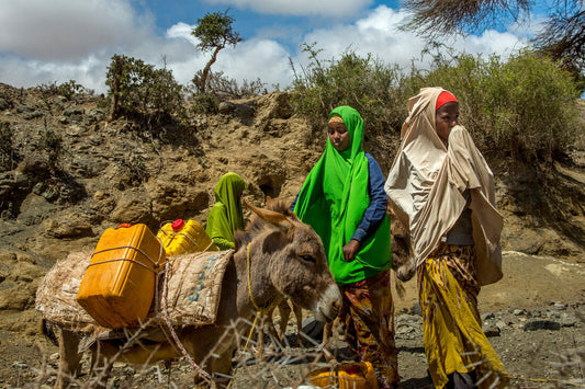 Somalia Famine Crisis Relief